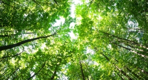 Munte Service - Nachhaltigkeit